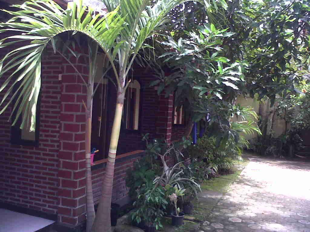 Rinjani Homestay パンガンダラン エクステリア 写真