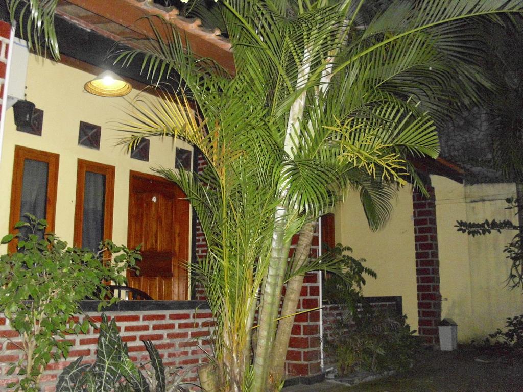 Rinjani Homestay パンガンダラン エクステリア 写真