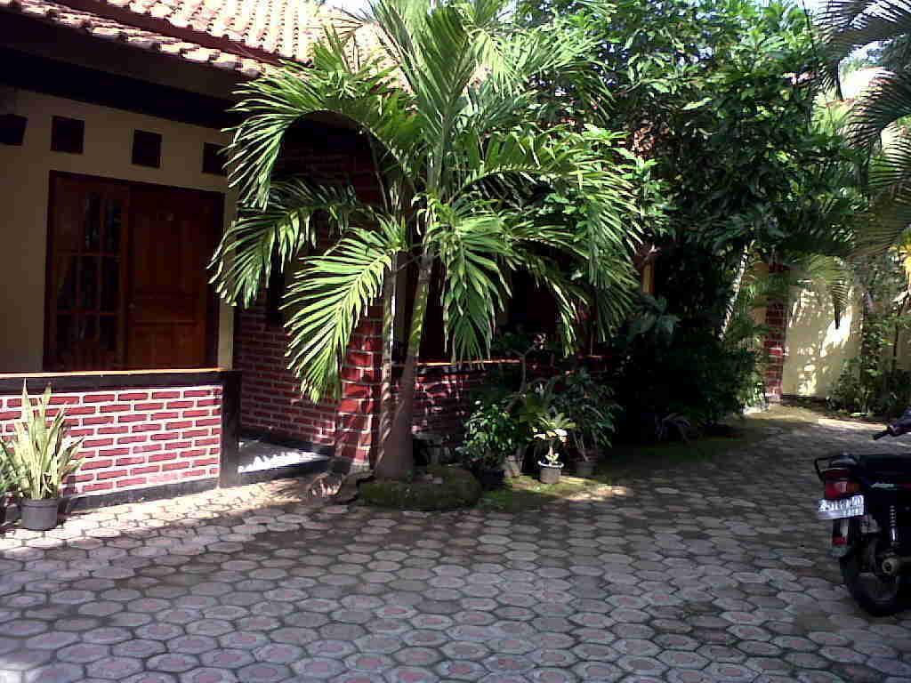 Rinjani Homestay パンガンダラン エクステリア 写真